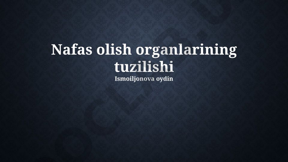 Nafas olish organlarining tuzilishi