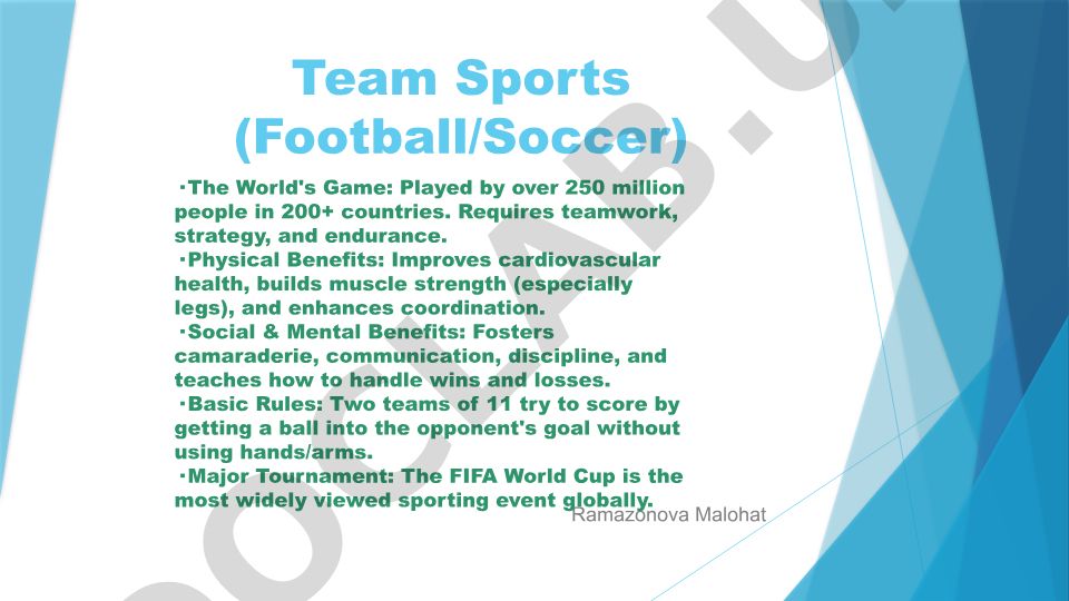 Team Sports, Individual Sports, and Mind Sports Overview