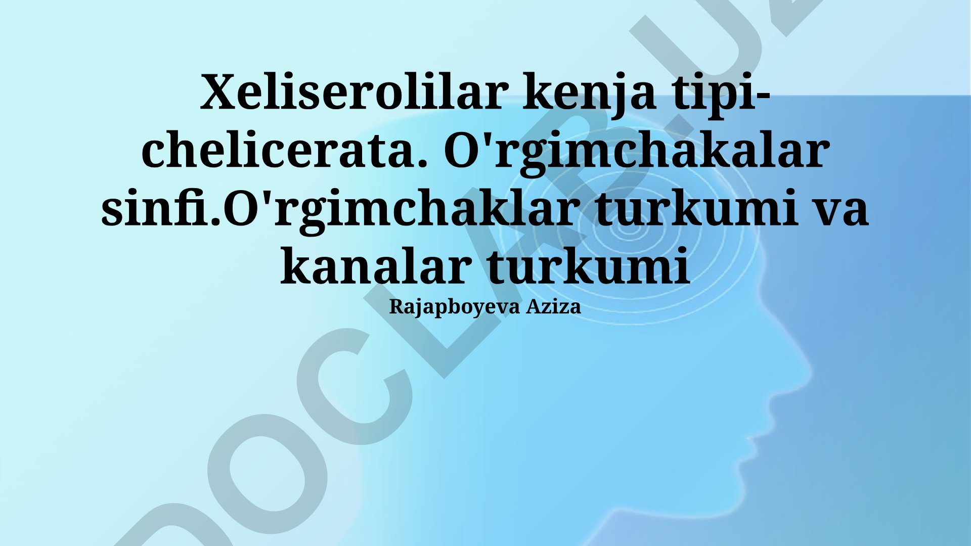 Xeliserolilar kenja tipi: Chelicerata va o'rgimchaklar sinfi