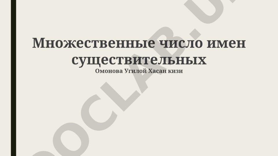Множественное число имен существительных в русском языке