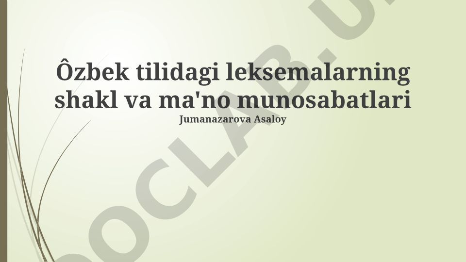 O'zbek tilidagi leksemalarning shakl va ma'no munosabatlari