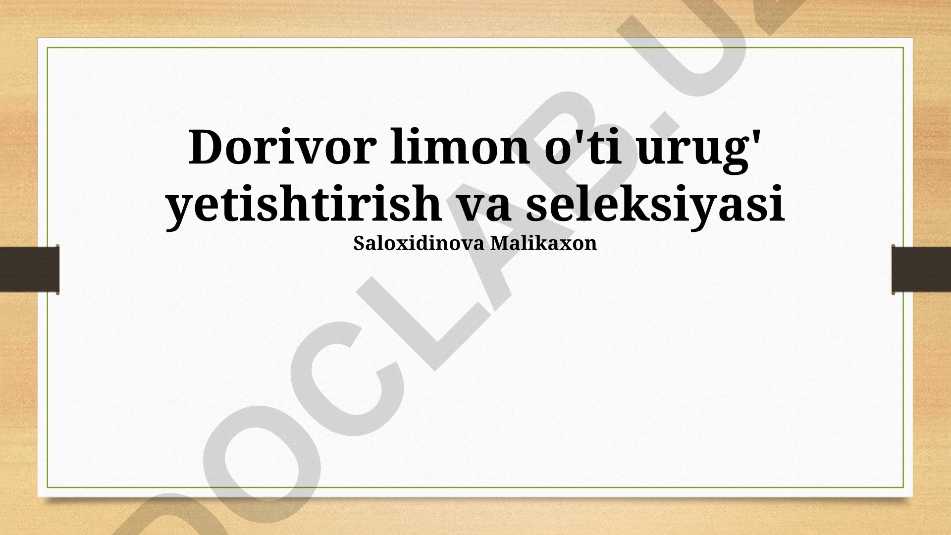 Dorivor limon o'ti urug' yetishtirish va seleksiyasi