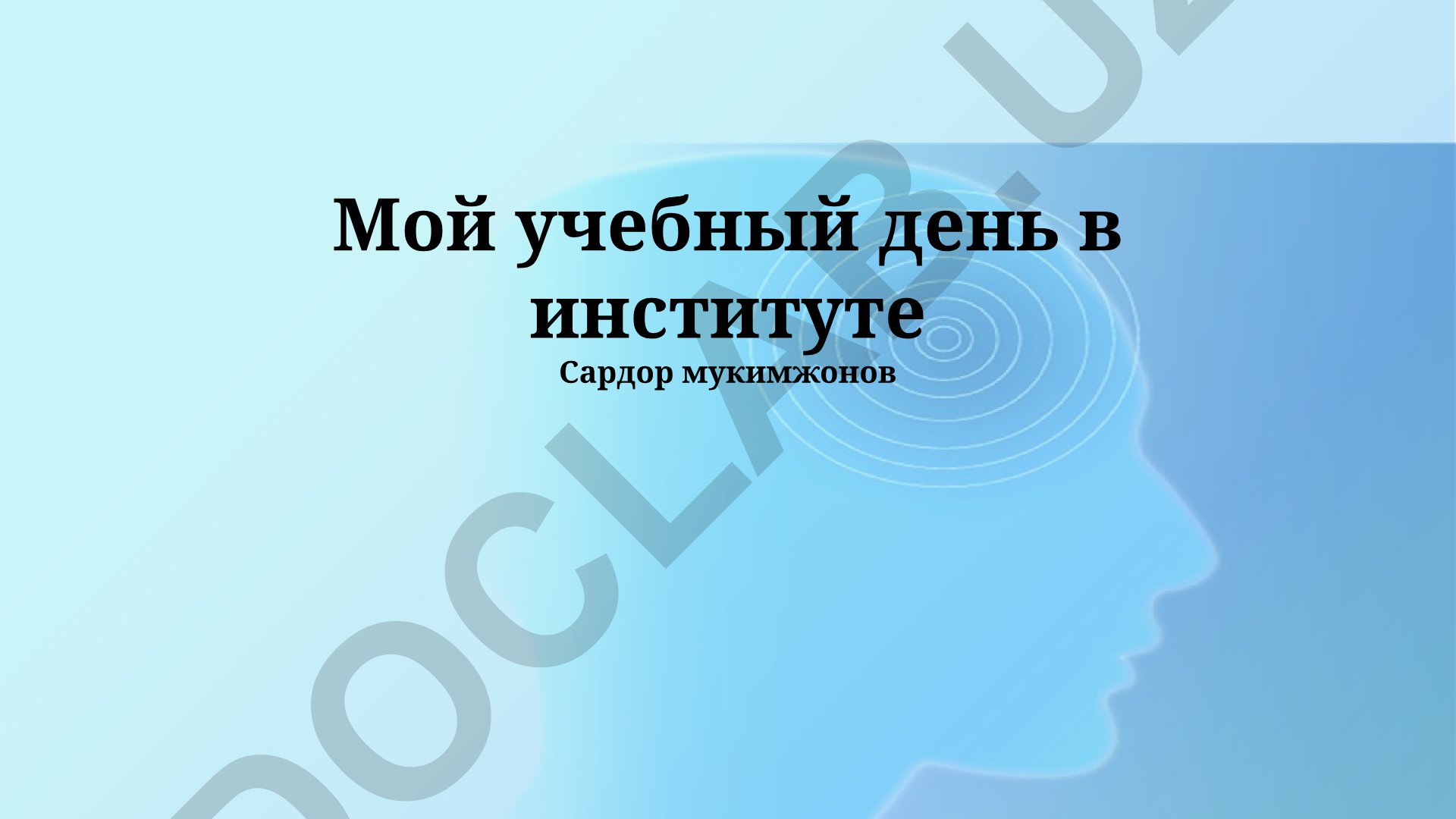 Мой учебный день в институте