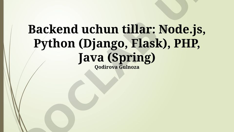 Server tomon dasturlash tillari taqqoslashi va loyiha tanlash mezonlari