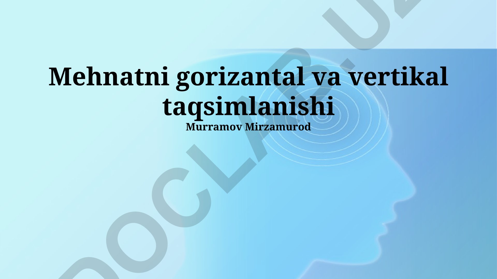 Mehnatni gorizantal va vertikal taqsimlanishi