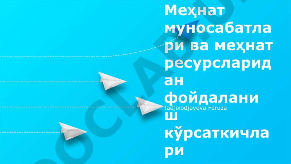 Mehnat munosabatlari va mehnat resurslaridan foydalanish ko'rsatkichlari