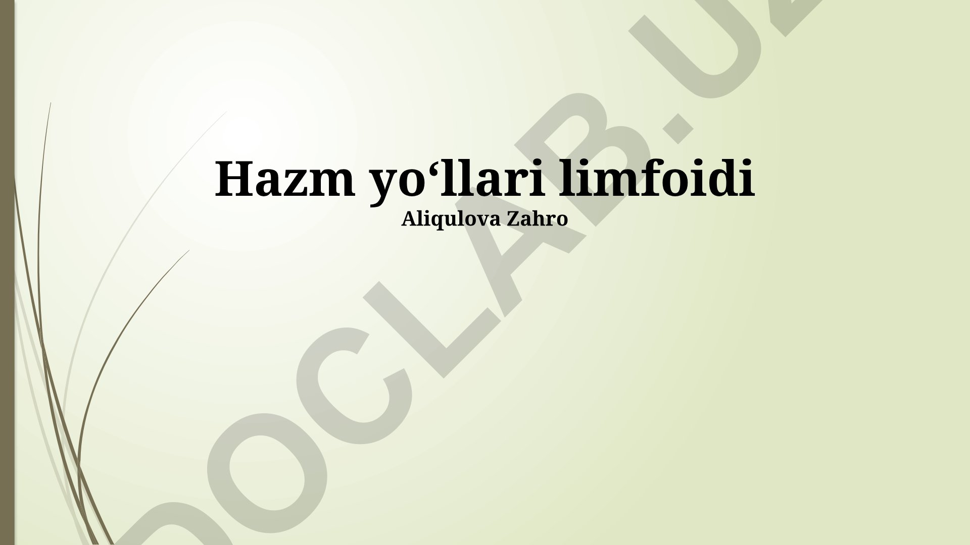 Hazm yoʻllari limfoidi: asoslar, immunitet va kasalliklar