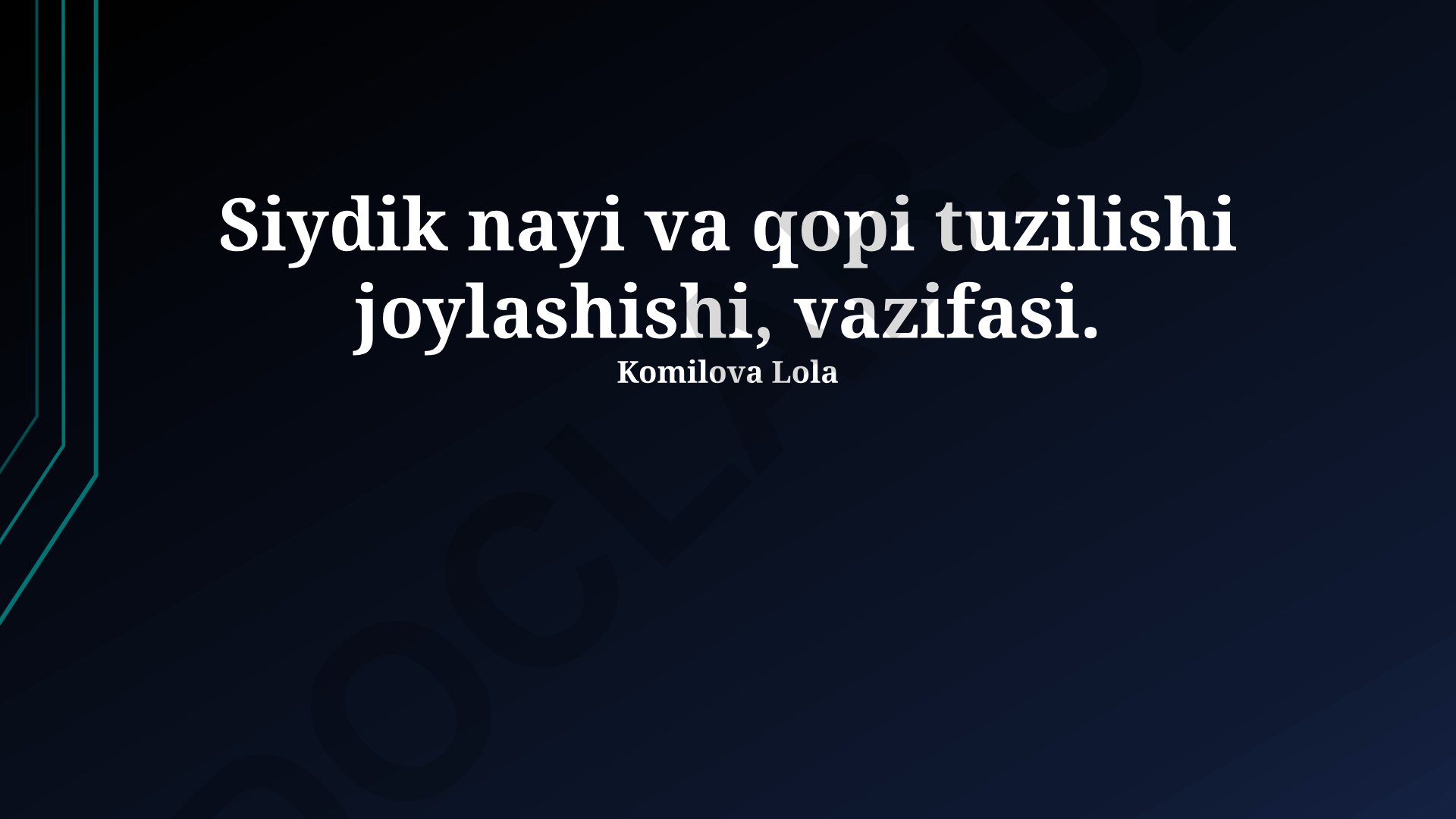 Siydik yo'li va qovuqning tuzilishi, joylashuvi va vazifasi