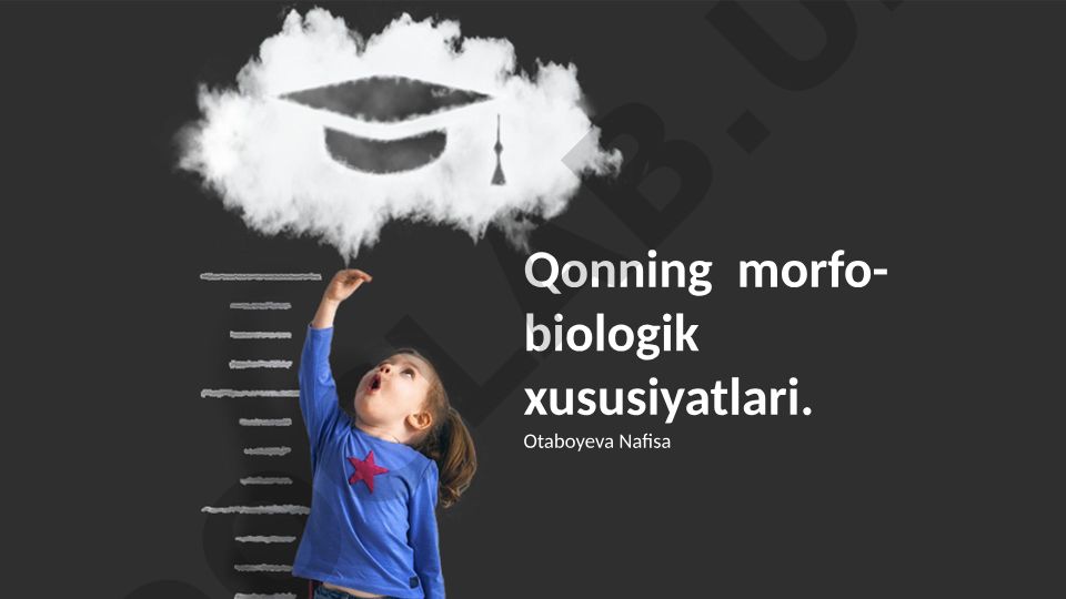 Qonning morfo-biologik xususiyatlari