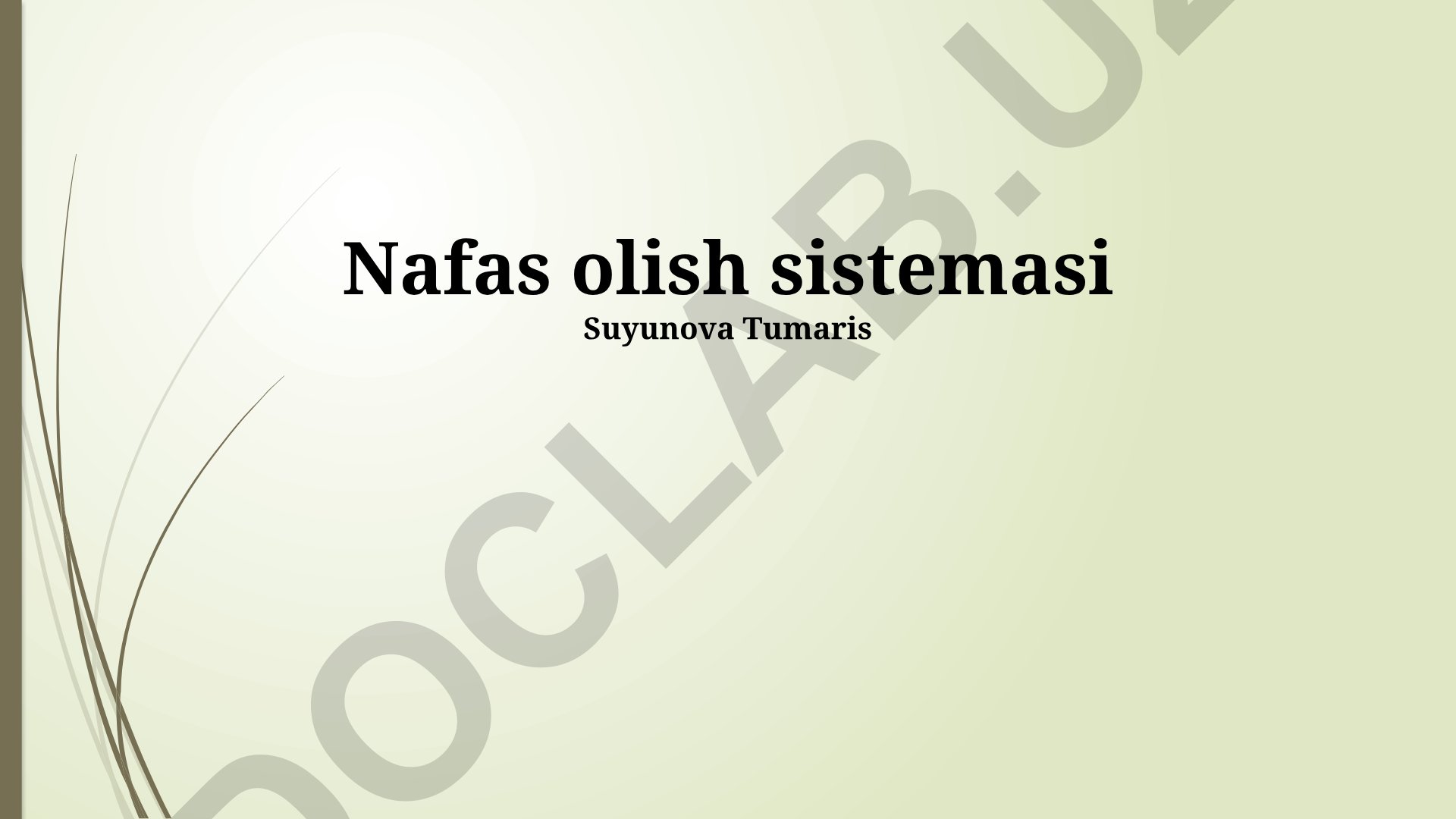 Nafas olish sistemasi tuzilishi, jarayoni va kasalliklari