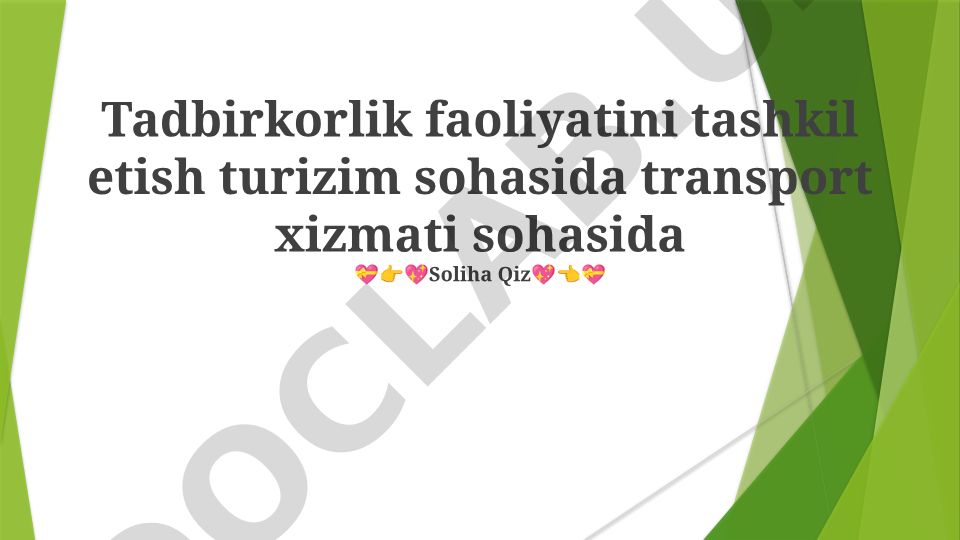 Turizm sohasida transport xizmati sohasida tadbirkorlik faoliyatini tashkil etish