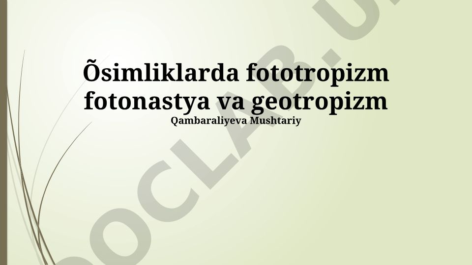 O'simliklarda fototropizm, fotonastiya va geotropizm