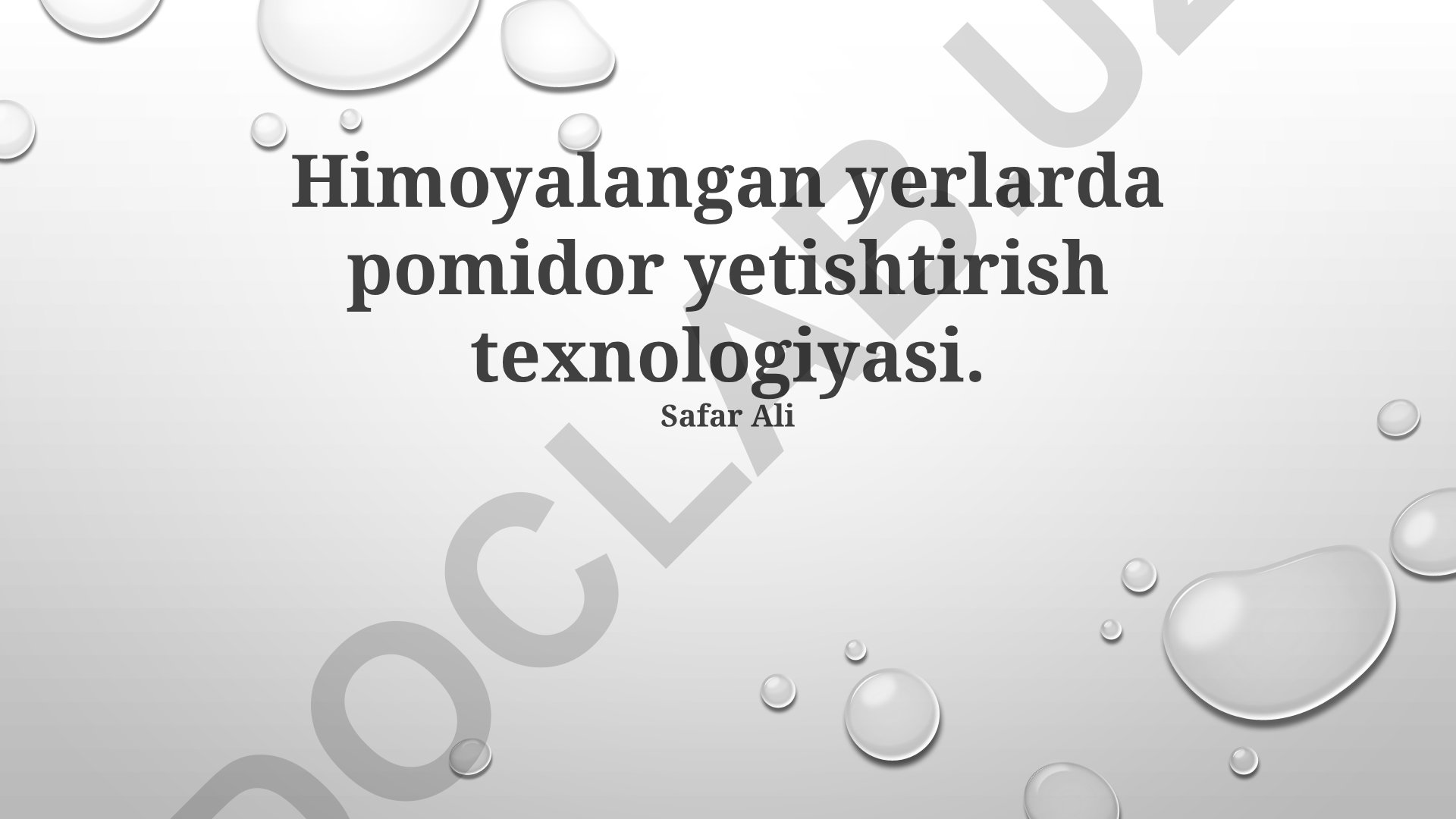 Himoyalangan yerlarda pomidor yetishtirish texnologiyasi