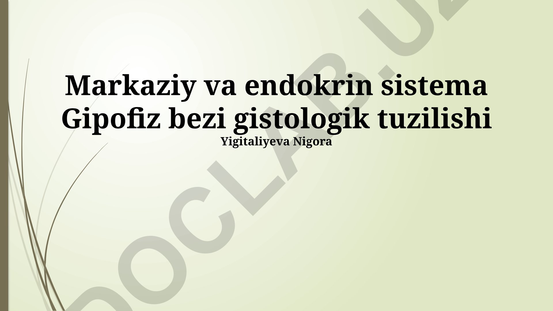 Gipofiz bezi gistologik tuzilishi va funktsiyalari