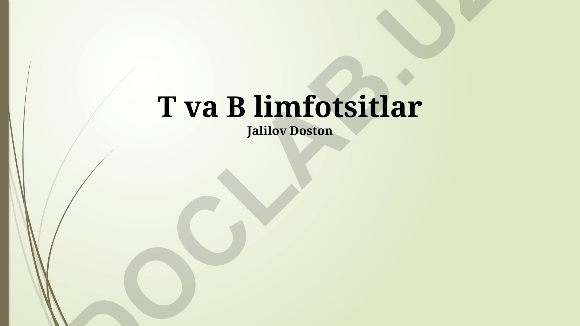 T va B limfotsitlar: ta'rif, rivojlanishi va immunitetdagi roli