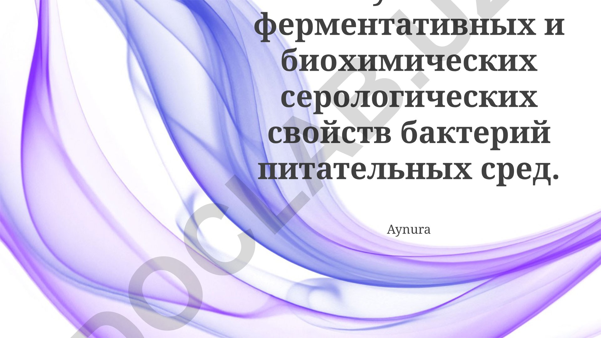 Изучение ферментативных и биохимических серологических свойств бактерий в питательных средах