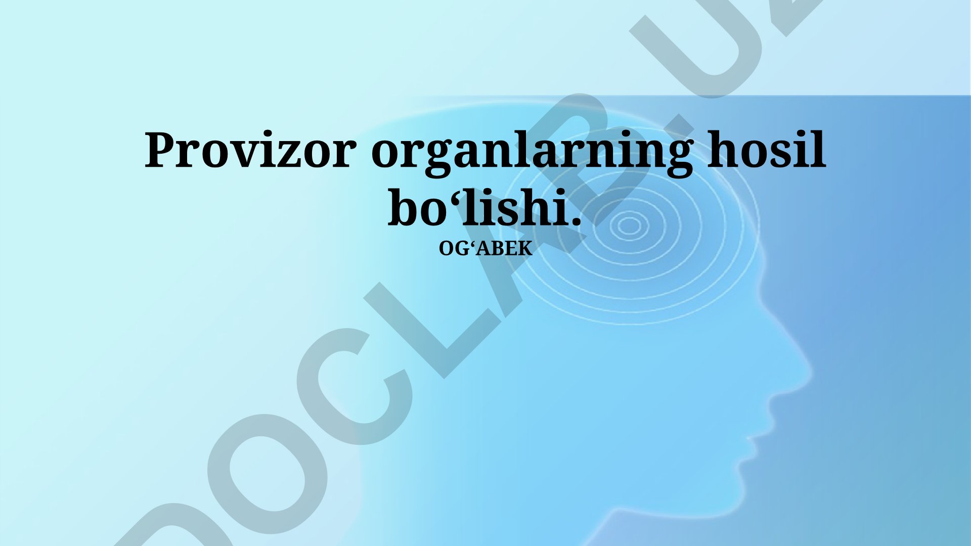 Provizor organlarning hosil boʻlishi va funksiyalari