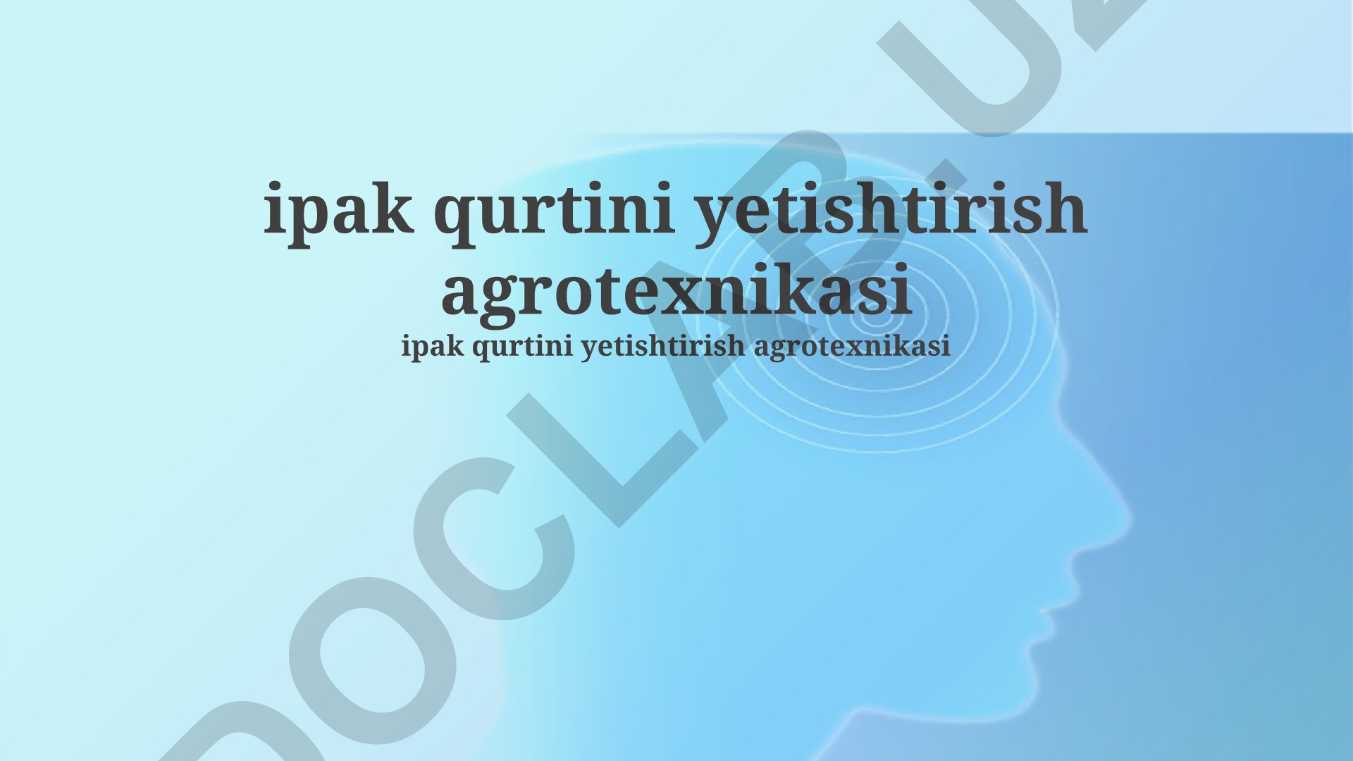 Ipak qurtini yetishtirish agrotexnikasi