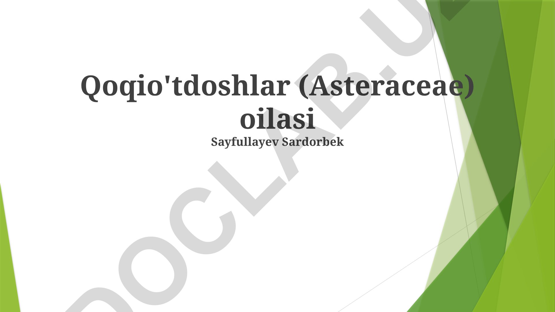 Asteraceae oilasining umumiy xususiyatlari, turlari va iqtisodiy ahamiyati
