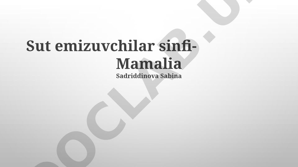 Sut emizuvchilar sinfi: Umumiy xususiyatlari, xilma-xilligi va ahamiyati