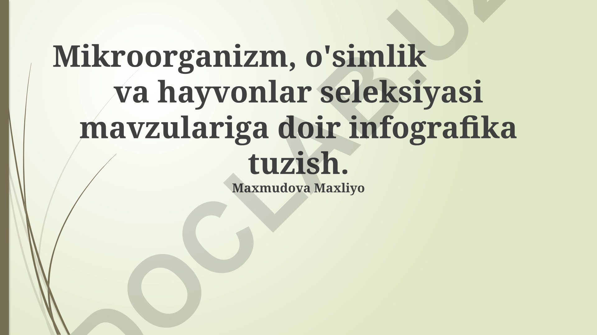 Mikroorganizm, o'simlik va hayvonlar seleksiyasi
