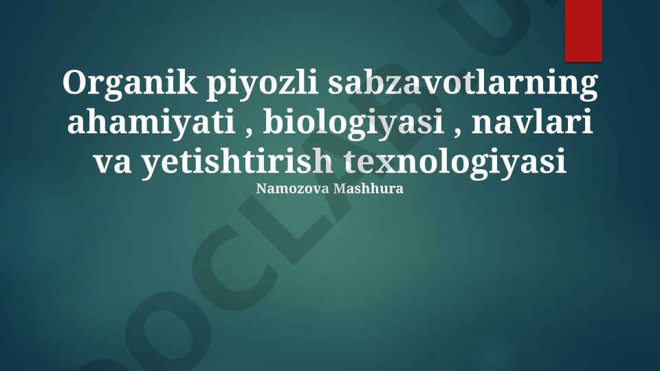 Organik piyozli sabzavotlarning ahamiyati, biologiyasi, navlari va yetishtirish texnologiyasi