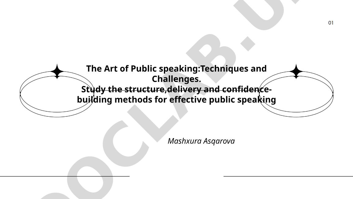 The Art of Public Speaking: Techniques and Challenges
