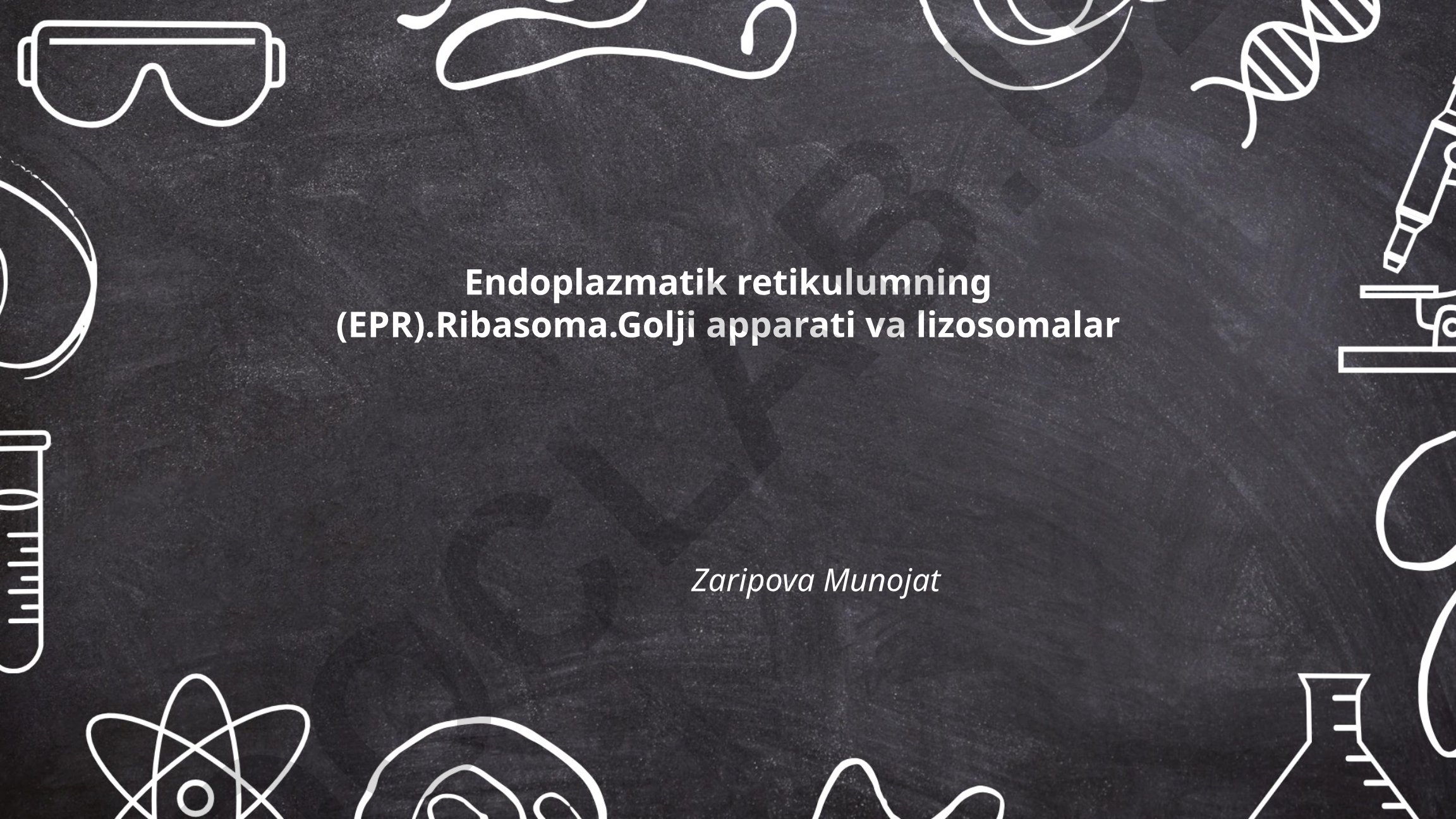 Endoplazmatik retikulum, ribasoma, Golji apparati va lizosomalar