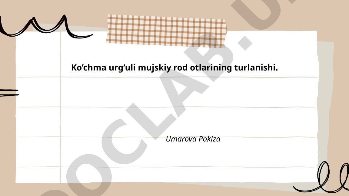 Ko'chma urg'uli mujskiy rod otlarining turlanishi