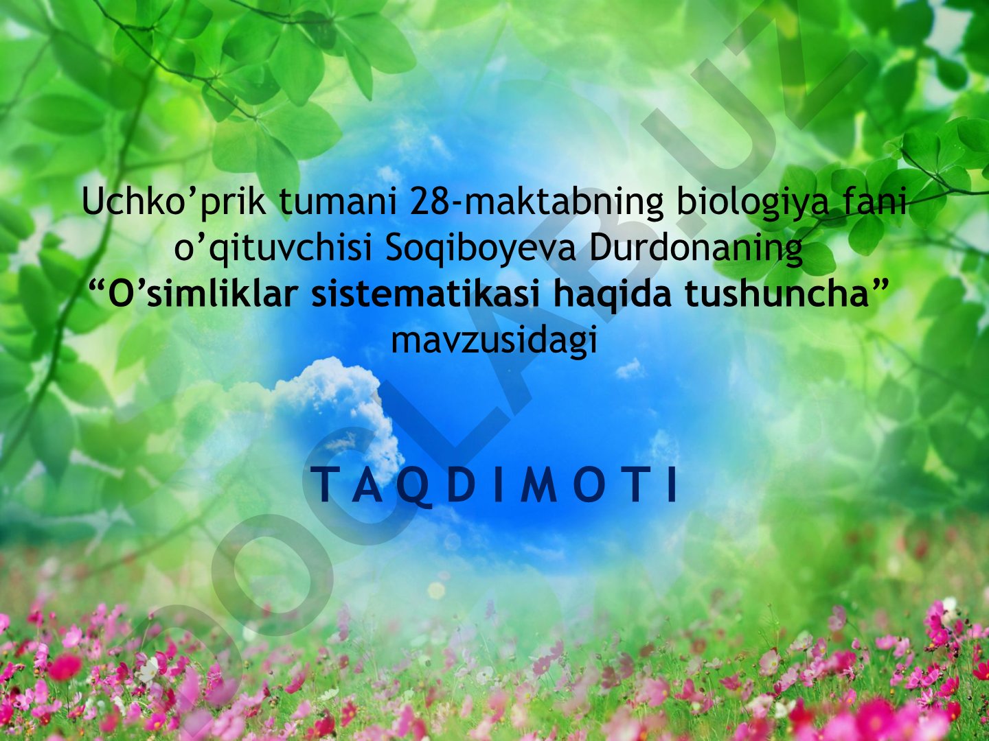 O'simliklar sistematikasi haqida tushuncha