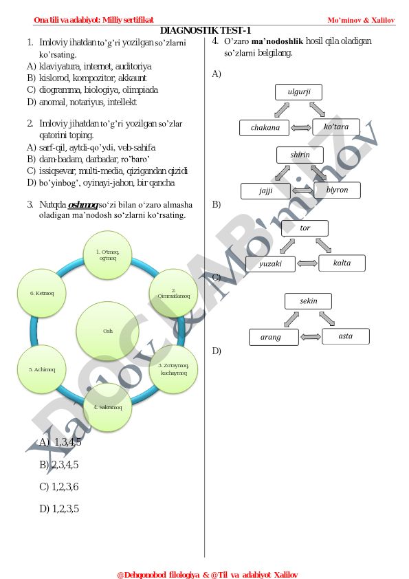 Ona tili va adabiyot diagnostik testi