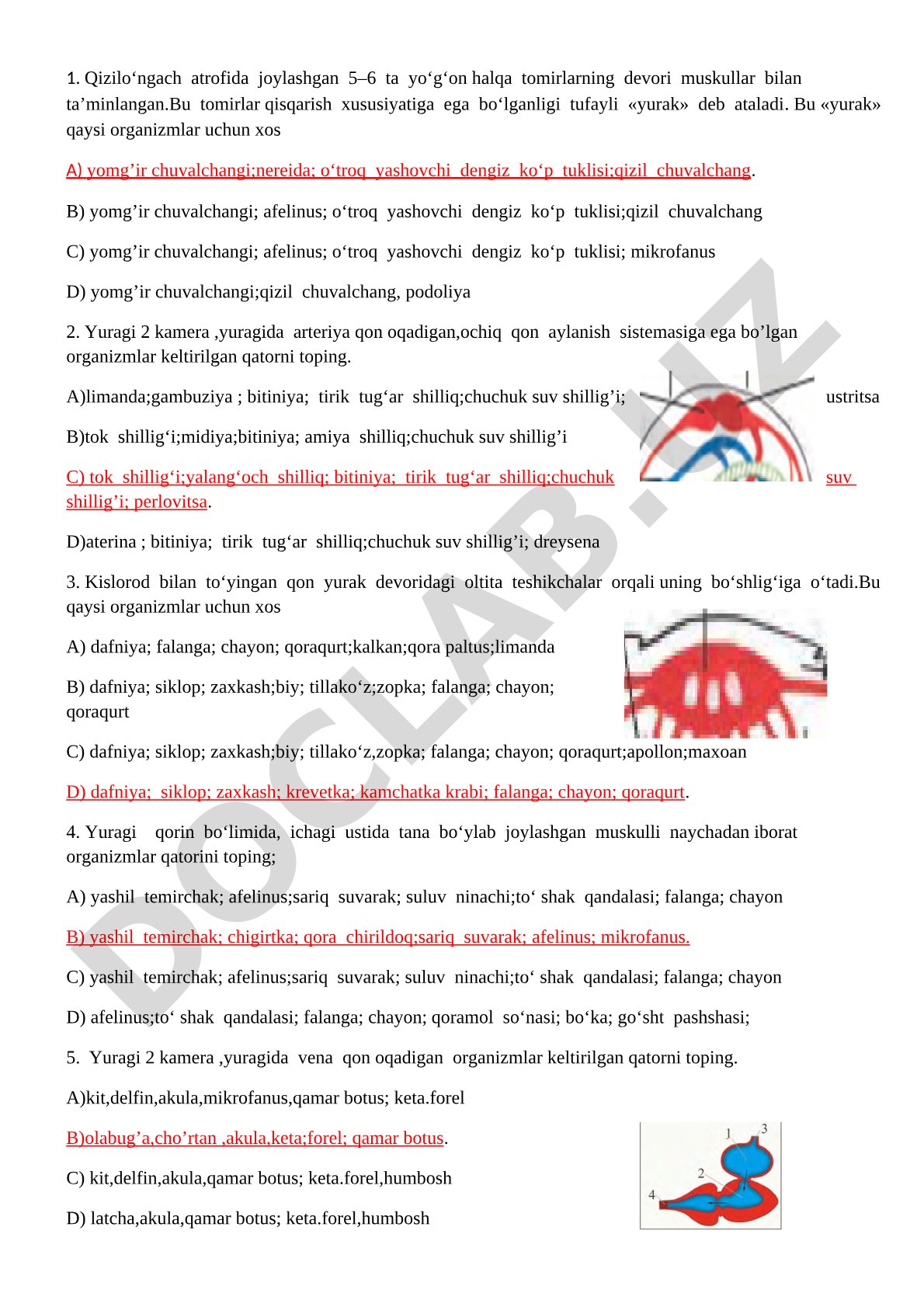 Qon aylanish sistemasi va yurak tuzilishi testlari