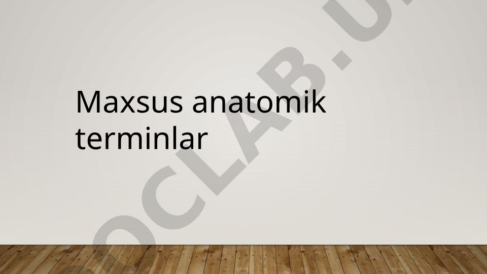 Maxsus anatomik terminlar va tana sathlari