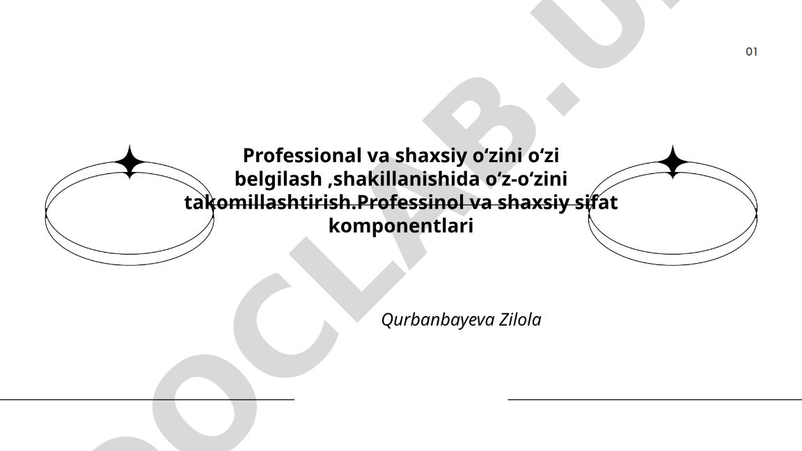 Kasbiy va shaxsiy oʻzini oʻzi belgilash nazariyasi va tamoyillari