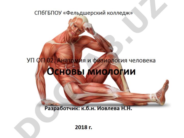 Анатомия и физиология человека: основы миологии