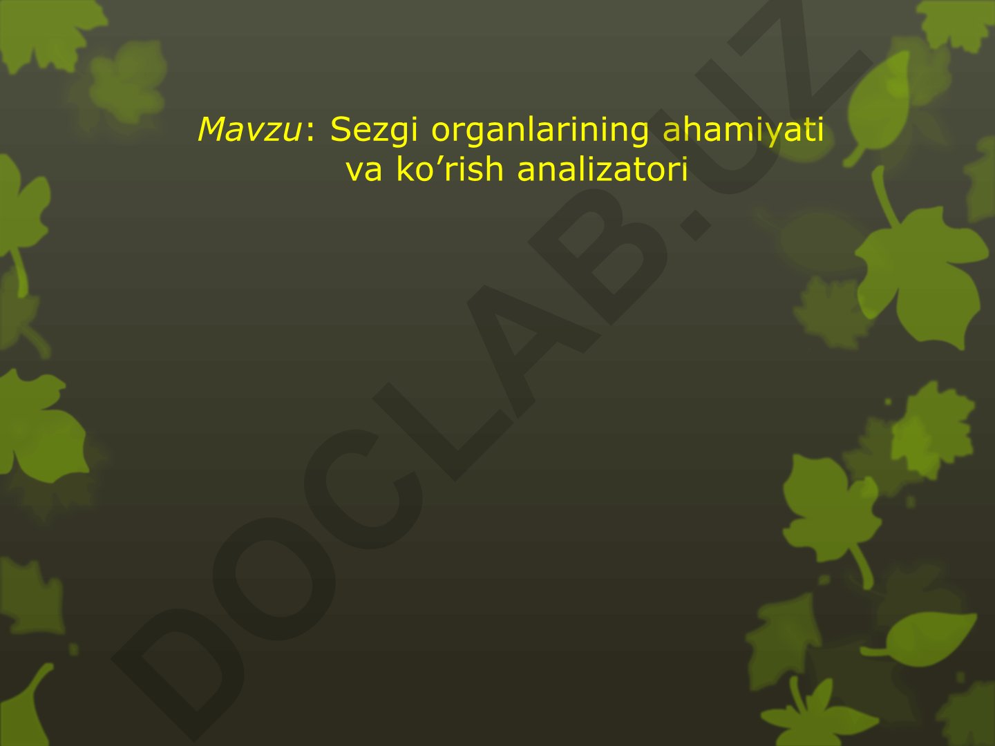 Sezgi organlarining ahamiyati va ko'rish analizatori