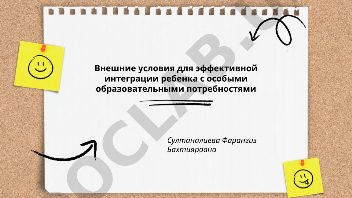 Внешние условия для эффективной интеграции ребенка с особыми образовательными потребностями