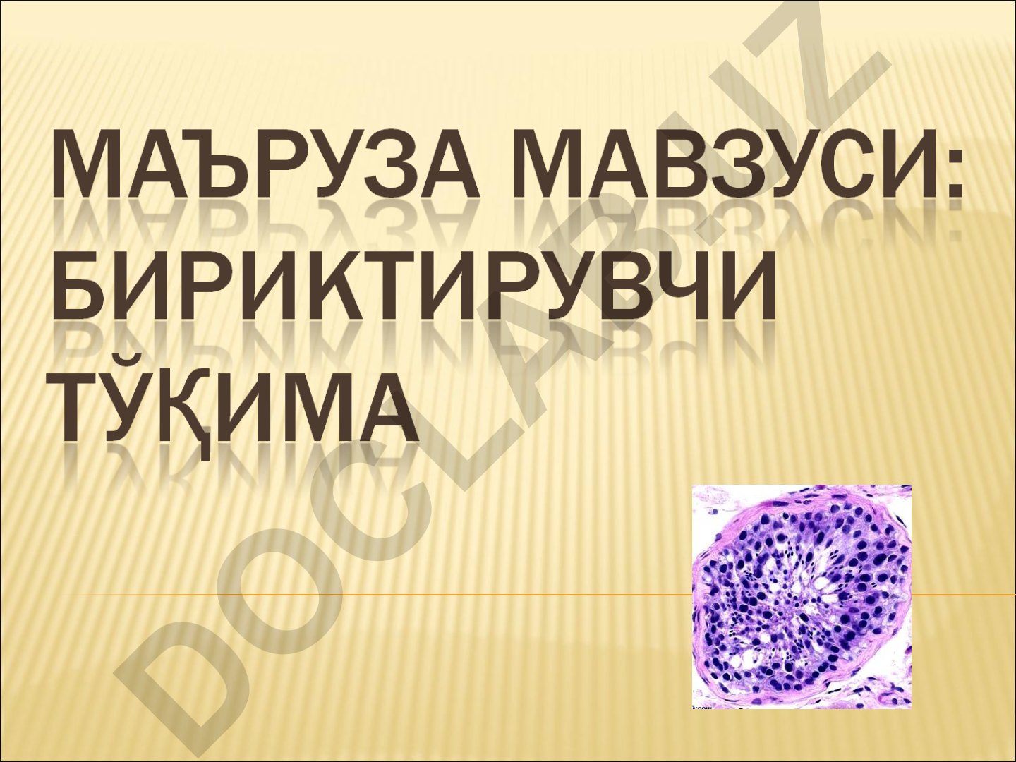Ички муҳит тўқималари классификацияси ва хусусиятлари