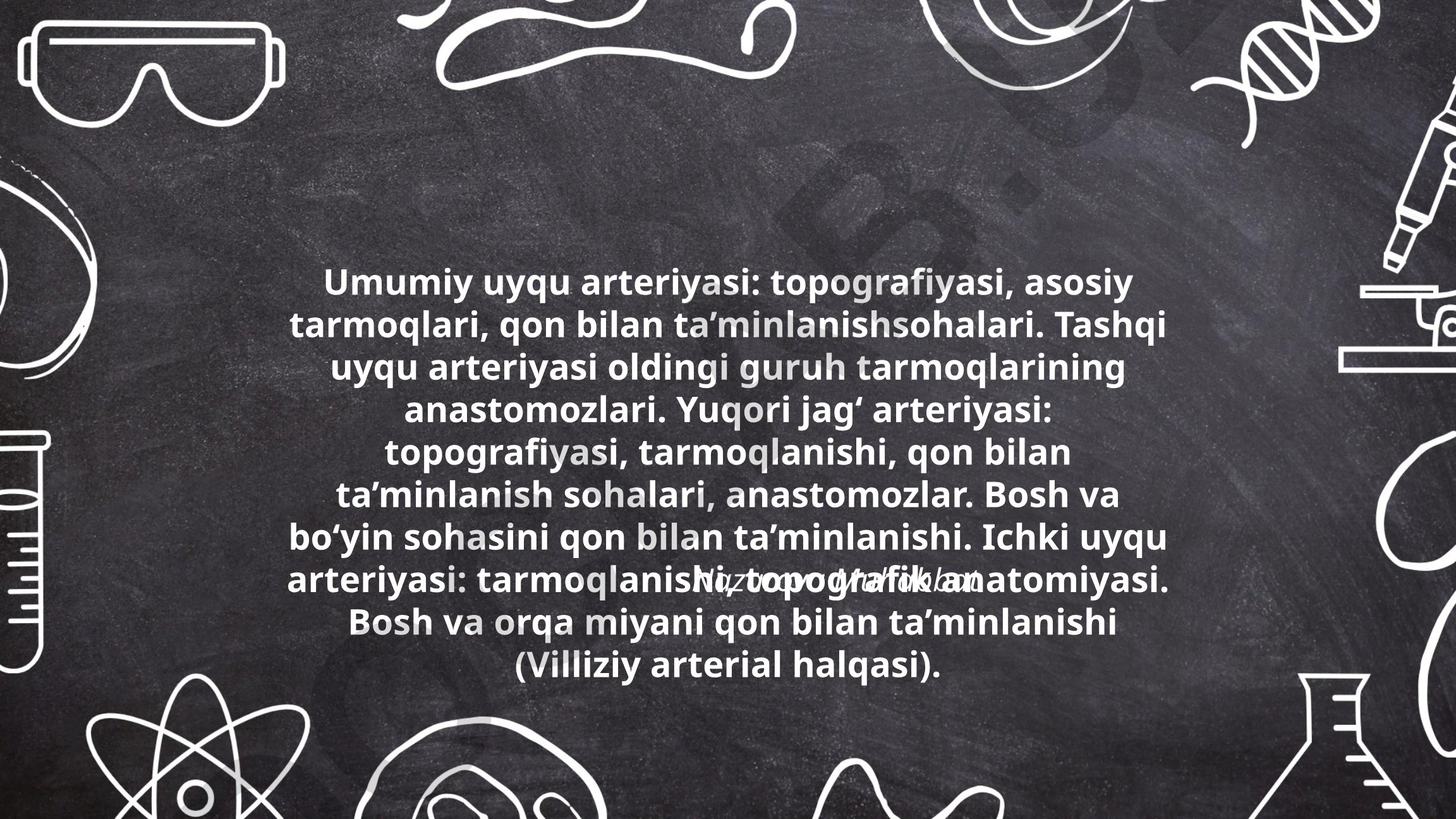 Umumiy uyqu arteriyasi va bosh-boyin qon ta'minoti anatomiyasi