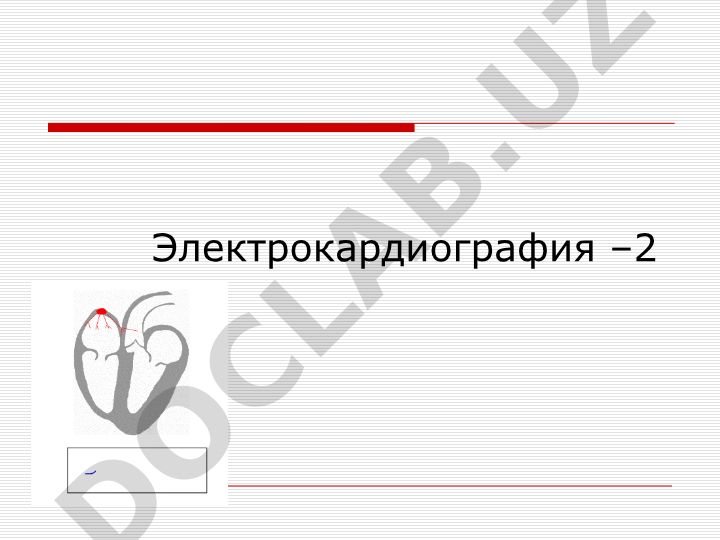 Электрокардиография: аритмии сердца и нарушения сердечного ритма