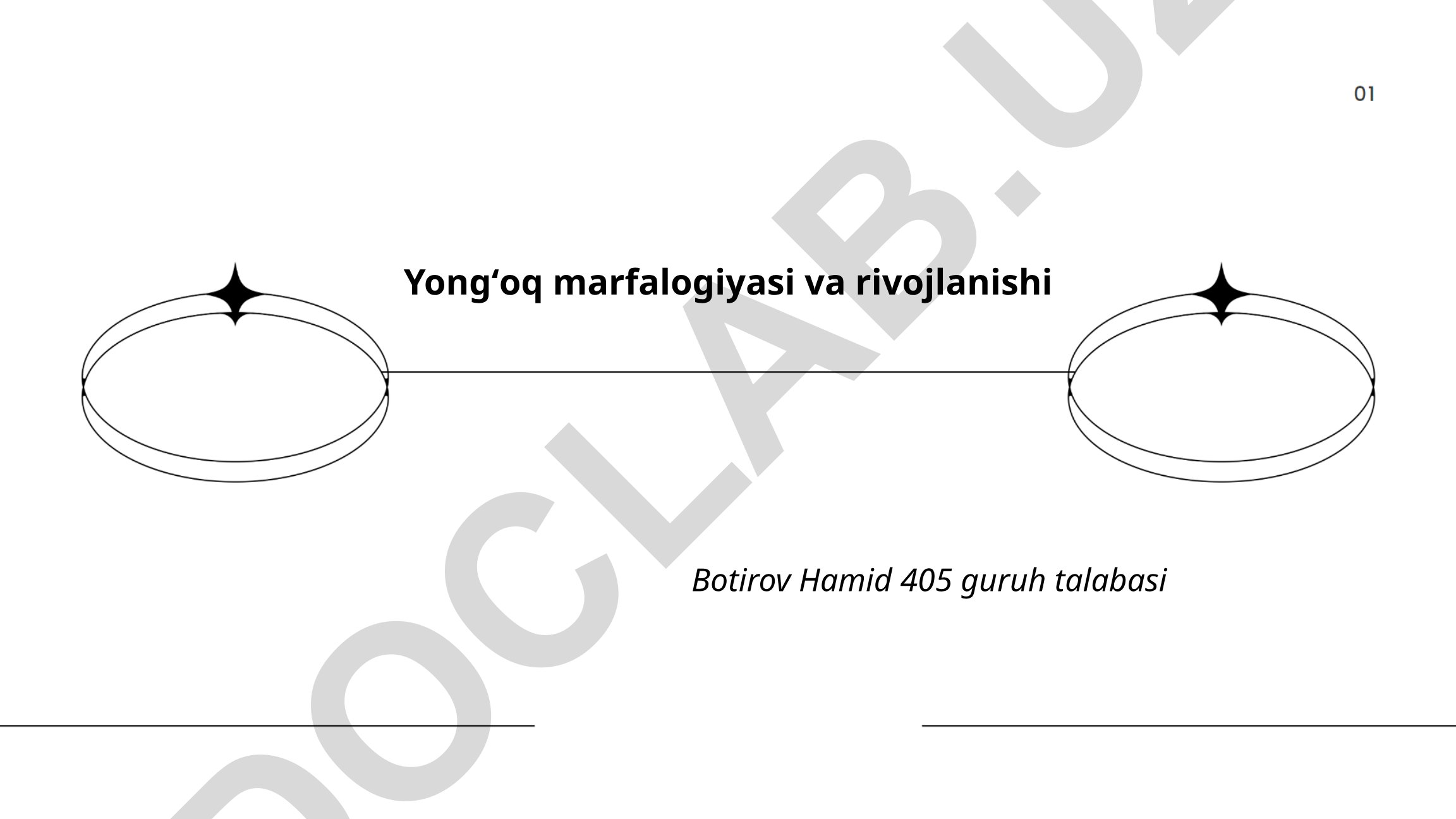 Yongʻoq morfologiyasi va rivojlanishi