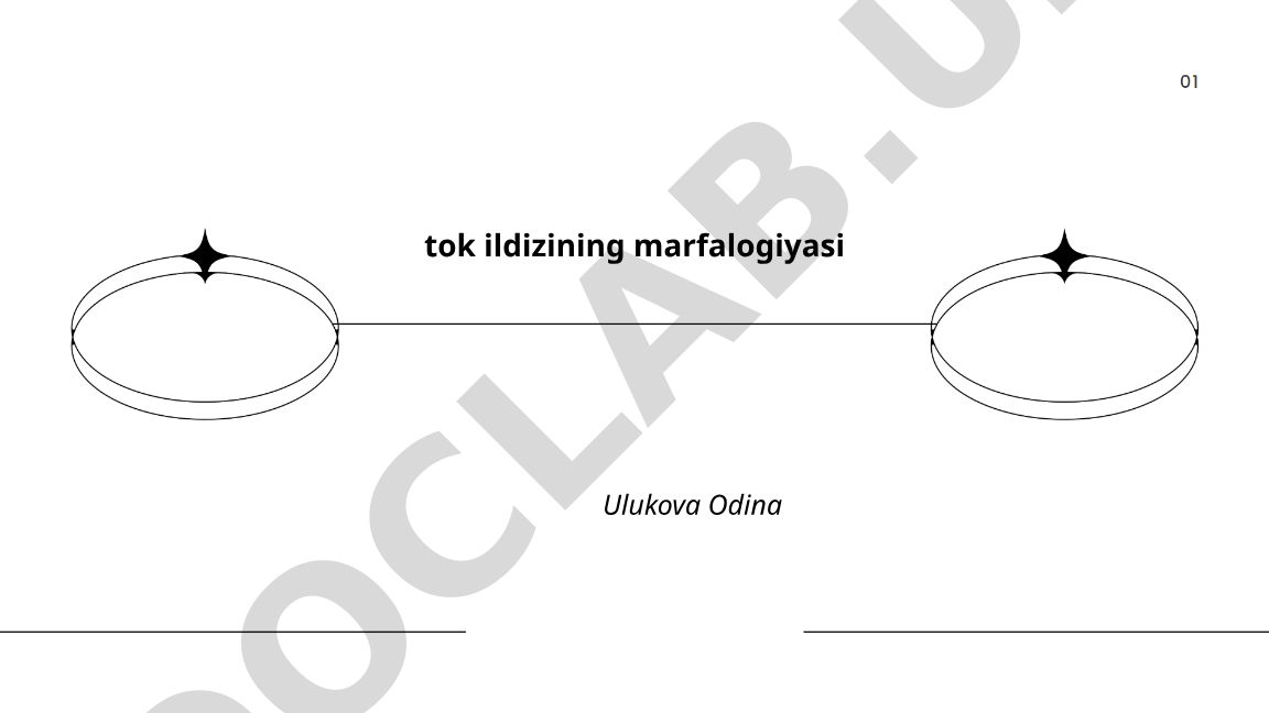 Tok ildizining morfologik tuzilishi va funksiyasi