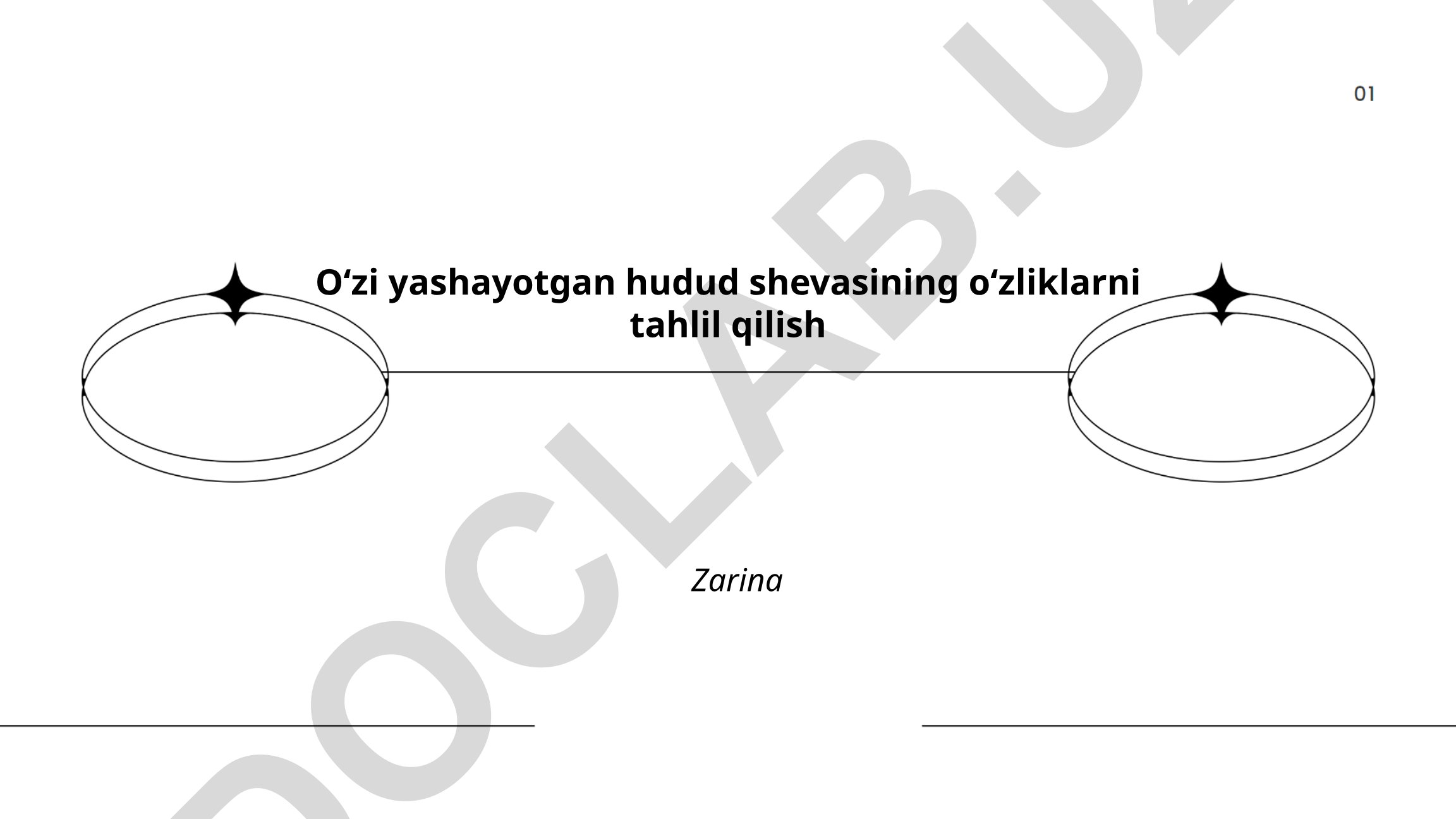 Hududiy shevaning fonetik, leksik va grammatik xususiyatlari tahlili