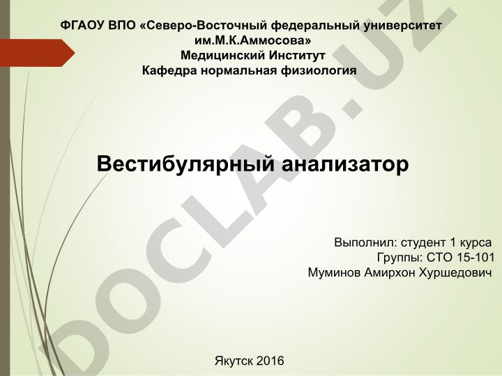 Вестибулярный анализатор: функции и роль в организме