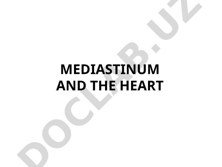 Mediastinum and the Heart Anatomy and Pathology