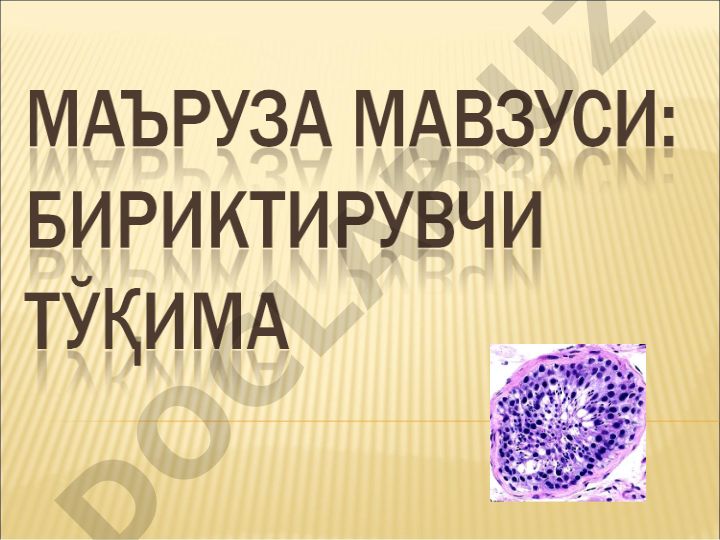 Ички муҳит тўқималари классификацияси ва хусусиятлари
