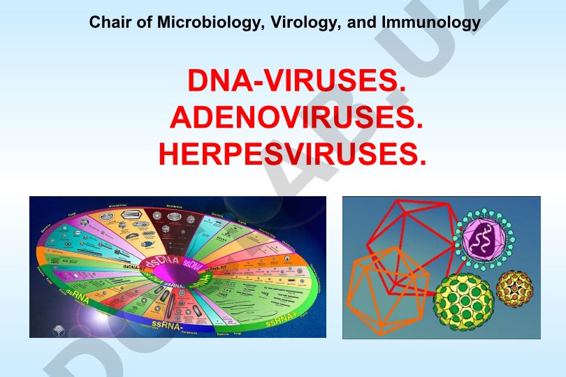 DNA-viruslar: Adenoviruslar va Herpesviruslar mikrobiologiyasi