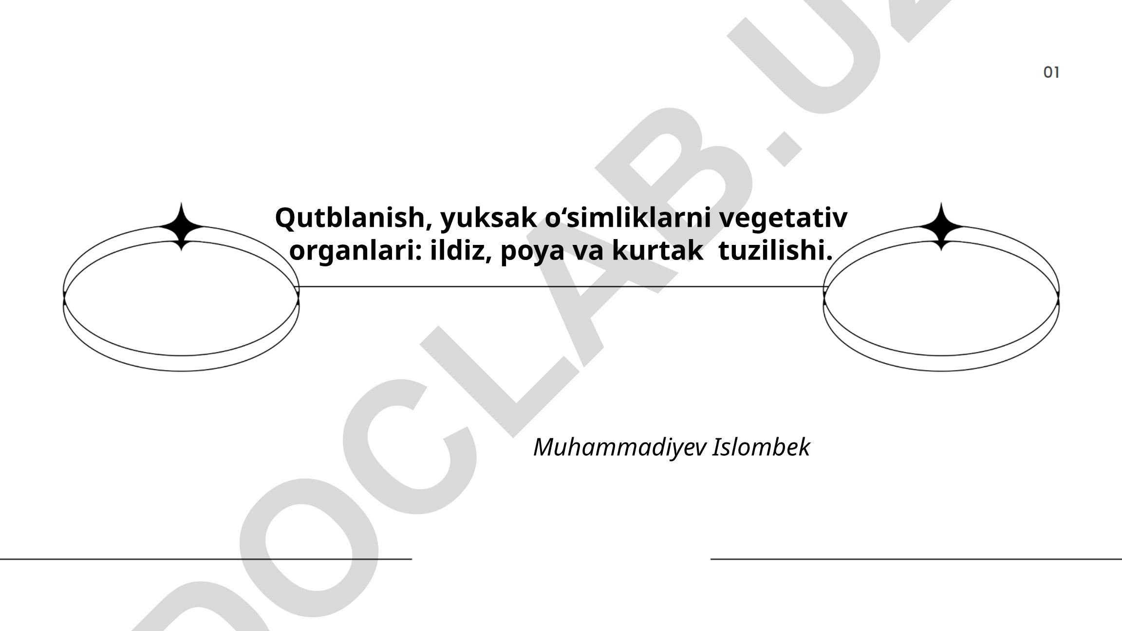 Qutblanish, yuksak o‘simliklarni vegetativ organlari: ildiz, poya va kurtak tuzilishi