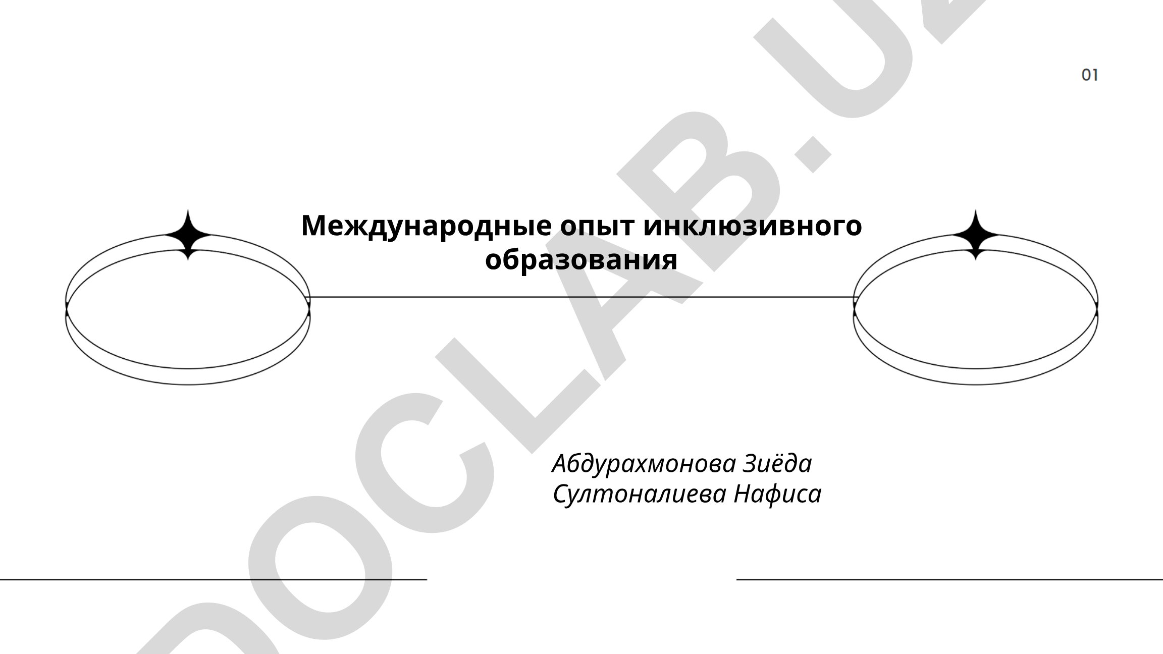 Международный опыт инклюзивного образования