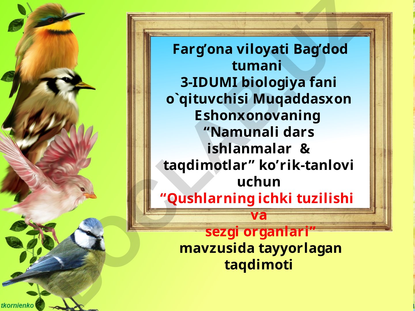 Qushlarning ichki tuzilishi va sezgi organlari